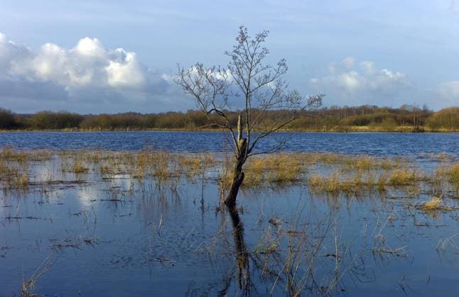 Niedersachsen, Experten warnen vor extremer Hochwasser-Gefahr, Archivbilder