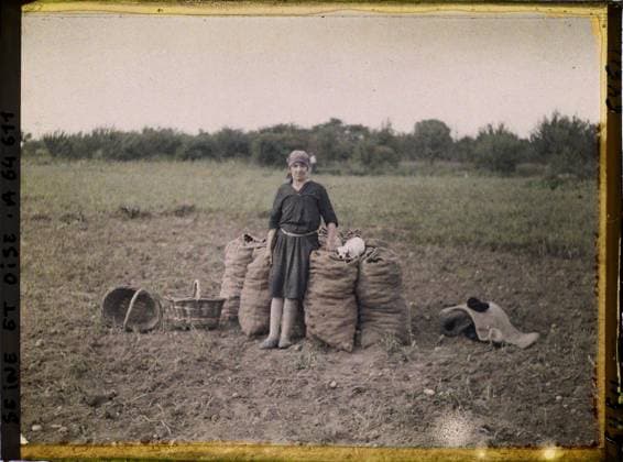 IMAGO Stephane Passet Archiv, Die Archive des Planeten, Frankreich, Landwirtschaft 1930