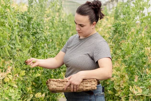 Bundesweit immer mehr Auszubildende in der Landwirtschaft, Symbolfotos