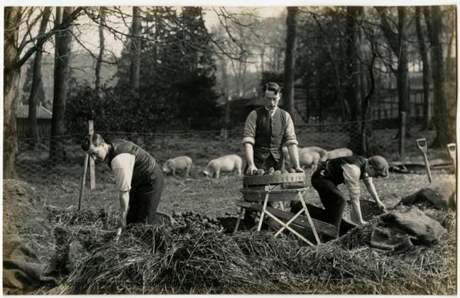 IMAGO Archiv, Schottland, Royal Victoria Hospital Farm Colony bei Edinburgh 1894-1915