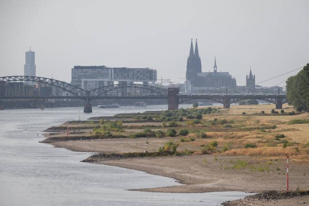 Niedrigster Pegel seit 500 Jahren im Rhein erwartet, Archivbilder