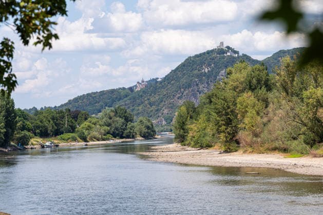 Rheinland-Pfalz, Niedrigwasser des Rheins bei Rolandseck an der Rheininsel Nonnenwerth