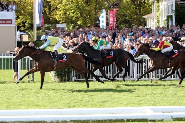 26.08.2012, Iffezheim, Baden-Württemberg, GER - Ferro Sensation mit Mirco Demuro gewinnt die Goldene Peitsche. Galopprennbahn Baden-Baden, Iffezheim. (Pferd, Jockey, Ferro Sensation, Demuro, Sieg, Ziel, Zielankunft) 811D260812IFFEZHEIM.JPG