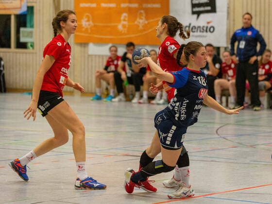 Maja Zeides (HSG Freiburg 29), Lea Neubrander (SG H2Ku Herrenberg 18) und Jessica Peter (HSG Freiburg 48) HSG Freiburg - SG H2Ku Herrenberg, Frauen, Handball, 2. Bundesliga, 9. Spieltag, Saison 2019 2020, 16.11.2019, GER, HSG Freiburg - SG H2Ku Herrenberg, Frauen, Handball, 2. Bundesliga, 9. Spieltag, Saison 2019 2020, 16.11.2019, Freiburg (Breisgau) Copyright: xEibner-Pressefoto DimitrixDrofitx EP_ddh