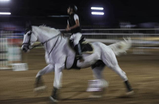February 27, 2020, Gaza City, Gaza Strip, Palestinian Territory: Palestinian competitors ride their horses during the first championship in jump barriers for the year 2020, on February 27, 2020 Middle East News - February 27, 2020 - ZUMAap3_ 97337259st Copyright: xMahmoudxAjjourx