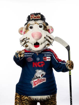 Pucki (Maskottchen, Nürnberg Ice Tigers, Nuernberg Ice Tigers ), Nuernberg Ice Tigers Portraits, Eishockey, DEL, 01.08.2022, Nuernberg Ice Tigers Portraits, Eishockey, DEL, 01.08.2022 Copyright: xThomasxHahnx xEibner-Pressefotox EP_NIT
