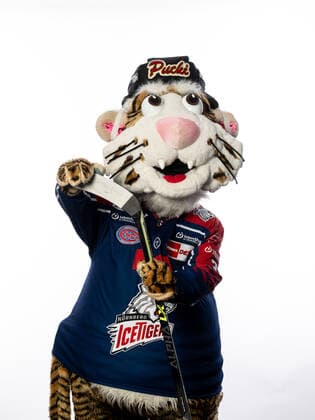 Pucki (Maskottchen, Nürnberg Ice Tigers, Nuernberg Ice Tigers ), Nuernberg Ice Tigers Portraits, Eishockey, DEL, 01.08.2022, Nuernberg Ice Tigers Portraits, Eishockey, DEL, 01.08.2022 Copyright: xThomasxHahnx xEibner-Pressefotox EP_NIT