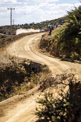 Motorsport, WRC, Rallye Mexiko 06 Dani SORDO (ESP), Candido CARRERA (ESP), HYUNDAI SHELL MOBIS WORLD RALLY TEAM, HYUNDAI i20 N Rally1 Hybrid, WRC, Motorsport Rallye, WM action during the Rally Guanajuato Mexico 2023, 3rd round of the 2023 WRC World Rally Car Championship, from March 16 to 19, 2023 at Leon, Guanajuato, in Mexico - AUTO - WRC - RALLY GUANAJUATO MEXICO 2023 DPPI Panoramic RPPA_2023_03_Mexico_427