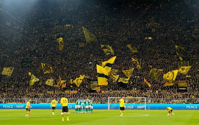 EDITORIAL USE ONLY No use with unauthorised audio, video, data, fixture lists, club league logos or live services. Online in-match use limited to 120 images, no video emulation. No use in betting, games or single club league player publications. Borussia Dortmund v Newcastle United, UEFA Champions League, Group F, Football, Signal Iduna Park, Dortmund, Germany - 07 Nov 2023 EDITORIAL USE ONLY No use with unauthorised audio, video, data, fixture lists, club league logos or live services. Online in-match use limited to 120 images, no video emulation. No use in betting, games or single club league player publications. Copyright: xDavexShopland Shutterstockx 14186379t