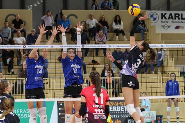 26.10.2024, xusrbx, Volleyball 1.Bundesliga Damen, VC Wiesbaden - Schwarz-Weiß Erfurt emspor, v.l. Jonna Wasserfaller (VC Wiesbaden, 14), Greta Kiss (VC Wiesbaden, 19), Ana Krulj (Schwarz Weiss Erfurt, 3), Zoe Welz (Schwarz Weiss Erfurt, 11), (DFL DFB REGULATIONS PROHIBIT ANY USE OF PHOTOGRAPHS as IMAGE SEQUENCES and or QUASI-VIDEO) Wiesbaden
