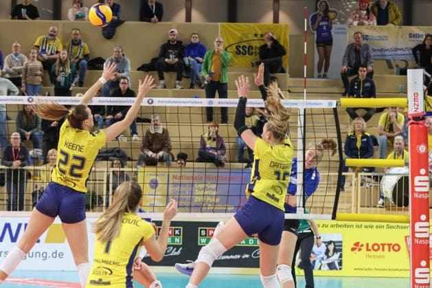 30.11.2024, xusrbx, Volleyball 1.Bundesliga Damen, VC Wiesbaden - SSC Palmberg Schwerin emspor, v.l. Jaeliyn Keene (SSC Palmberg Schwerin, 22), Karla Antunovic (SSC Palmberg Schwerin, 1), Elles Dambrink (SSC Palmberg Schwerin, 15), Tanja Grosser (VC Wiesbaden, 4), (DFL DFB REGULATIONS PROHIBIT ANY USE OF PHOTOGRAPHS as IMAGE SEQUENCES and or QUASI-VIDEO) Wiesbaden