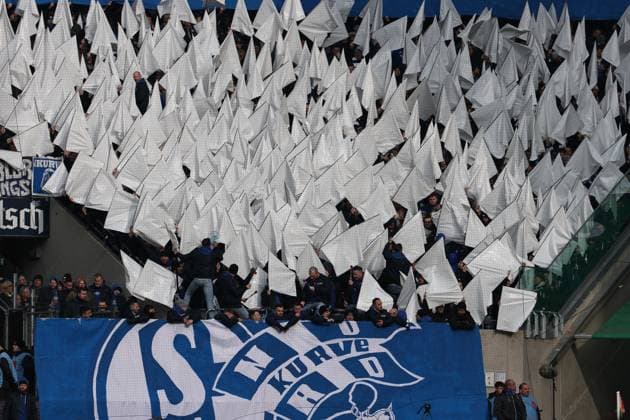 GER, 2.FBL, 1. FC Koeln vs. FC Schalke 04 09.02.2025, Rheinenergie Stadion, Koeln, GER, 2.FBL, 1. FC Koeln vs. FC Schalke 04, im Bild: Fans, freundlich, Stimmung, farbenfroh, Nationalfarbe, geschminkt, Emotionen, Schals, Schalke