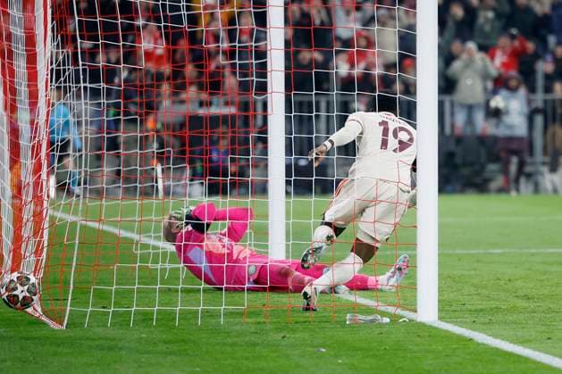 Im Bild: Alphonso Davies (FC Bayern Muenchen, 19), Goal scored, erzielt das Tor zum 1:1 celebrate the goal, 18.02.2025, Fussball, UEFA Champions League, Playoffs, FC Bayern Muenchen - Celtic Glasgow, GER, Muenchen, Allianz Arena, DFL REGULATIONS PROHIBIT ANY USE OF PHOTOGRAPHS AS IMAGE SEQUENCES AND OR QUASI-VIDEO. Copyright: HMBxMedia xHeikoxBecker