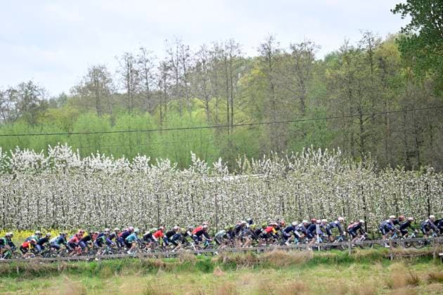 Ronde van Limburg 2025 - Men Elite TONGEREN, BELGIUM - APRIL 16 : illustration picture peloton pictured during the 77th edition of the Ronde van Limburg, an UCI Individual Road cycling, Rad, Radsport, Strasse race with start in Hasselt and finish in Tongeren after 178,6 km, organized by Flanders Classics on April 16, 2025 in Tongeren, Belgium, 16 04 2025 Tongeren Belgium Copyright: xJanxDexMeuleneirx