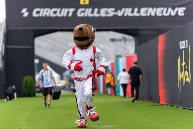 Maskottchen Murmeltier F1 Kanada Grand Prix CAN, Formel 1 Weltmeisterschaft, Grand Prix von Kanada, Circuit Gilles Villeneuve, Freies Training 1, Saison 2025, 13.06.2025 CAN, Formel 1 Weltmeisterschaft, Grand Prix von Kanada, Circuit Gilles Villeneuve, Freies Training 1, Saison 2025, 13.06.2025 Montreal Copyright: xEibner-Pressefoto MarcelxFischerx EP_MFI