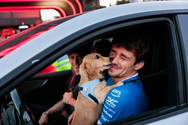 F1 - ITALIAN GRAND PRIX 2025 Leo LECLERC, dog of LECLERC Charles (mco), Scuderia Ferrari SF-25, portrait during the 2025 Formula 1 Pirelli Grand Premio d™Italia, 2025 Italian Grand Prix, 16th round of the 2025 FIA Formula One World Championship, WM, Weltmeisterschaft from September 5 to 7, 2025 on the Autodromo Nazionale Monza, in Monza, Italy - MonzaItaly Copyright: xGERMAINxHAZARDx