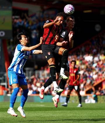 James Hill and Veljko Milosavljevic of AFC Bournemouth. AFC Bournemouth v Brighton and Hove Albion, Premier League, Football, Vitality Stadium, Bournemouth, UK - 13 Sept 2025Bournemouth Vitality Stadium United Kingdom EDITORIAL USE ONLY No use with unauthorised audio, video, data, fixture lists, club league logos or live services. Online in-match use limited to 120 images, no video emulation. No use in betting, games or single club league player publications. Copyright: xJamesxMarsh Shutterstockx 15481291aa