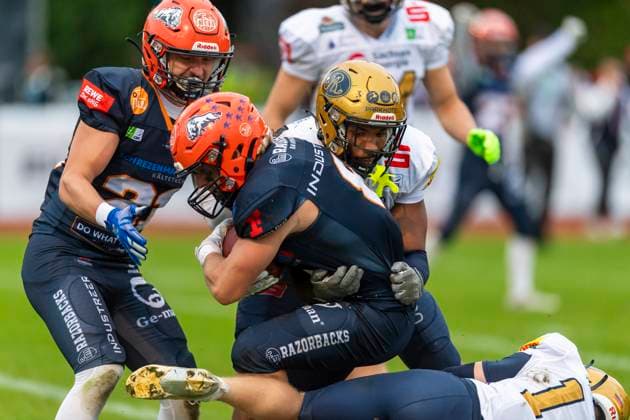 Interception von Alex Mashak (8, DB, ifm Razorbacks Ravensburg) GER, ifm Ravensburg Razorbacks vs Dresden Monarchs, American Football, GFL, Saison 2025, Playoffs, Halbfinale, 27.09.2025, GER, ifm Ravensburg Razorbacks vs Dresden Monarchs, American Football, GFL, Saison 2025, Playoffs, Halbfinale, 27.09.2025 Weingarten Copyright: xEibner-Pressefoto FlorianxWolfx EP_FWF