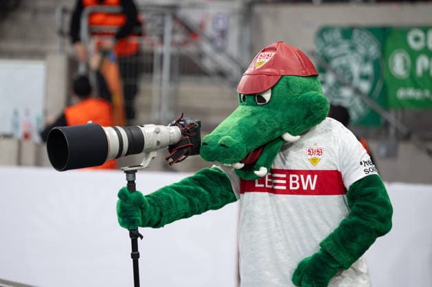 Fritzle (VfB Stuttgart, Maskottchen) als Sportfotograf. GER, VfB Stuttgart vs. Celtic FC Glasgow, Fussball, UEFA Europa League, Herren, Play-Offs Rueckspiel, Spielzeit 2025 2026, 26.02.2026, GER, VfB Stuttgart vs. Celtic FC Glasgow, Fussball, UEFA Europa League, Herren, Play-Offs Rueckspiel, Spielzeit 2025 2026, 26.02.2026 Stuttgart Copyright: xEibner-Pressefoto WolfgangxFrankx EP_WFK