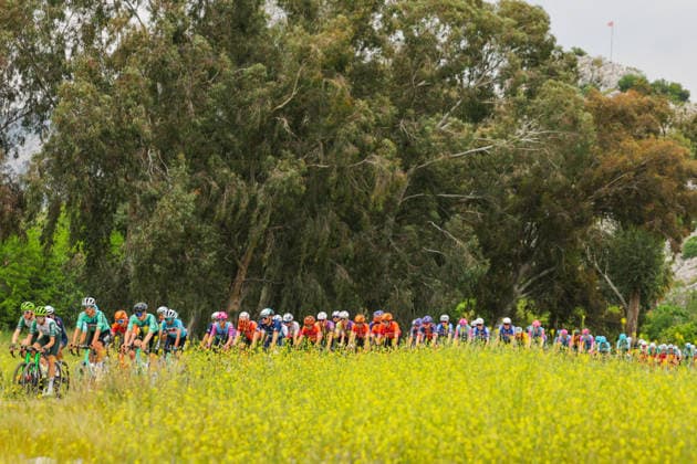 The 61st Presidential Cycling Tour of Turkiye (TUR 2026) has officially begun, starting with its opening stage in the coastal town of Cesme, Izmir. Held under the auspices of the Presidency of the Republic of Türkiye, this prestigious UCI ProSeries race brings together 23 teams and 161 world-class cyclists to compete over eight days, from April 26 to May 3, 2026...The 2026 edition unfolds across routes showcasing some of Türkiye s most striking landscapes. Starting in Cesme, the race follows the Aegean and Mediterranean coastlines, covering stages through Antalya and the southern shores before concluding in the capital, Ankara. Beyond sporting competition, the tour plays a key role in promoting Türkiye s natural and cultural richness on a global stage..This year, the race consists of 8 stages covering approximately 1,200 kilometers. Nearly 20 teams and over 150 riders from around the world are competing, under the coordination of the Turkish Cycling Federation..With the first three stages completed, the pace in the peloton has intensified and the general classification has begun to take shape. Sprint finishes and technically demanding routes have stood out, with the third stage drawing attention for its high tempo and dramatic finale..The third stage of the 61st Presidential Cycling Tour of Türkiye (TUR 2026) was won by Colombian rider Ivan Ramiro Sosa of Equipo Kern Pharma. Covering the 132.7-kilometer Marmaris-Kıran route, Sosa finished in 3 hours, 40 minutes, and 25 seconds. In the summit finish, Australian rider Sebastian Berwick of Caja Rural-Seguros RGA placed second, while French rider Nicolas Breuillard of TotalEnergies finished third..As the race progresses, challenging climbs and critical time gaps are expected to further heighten the excitement. The tour continues to deliver a compelling blend of elite competition and global vis Copyright: RizaxOzel 19081568