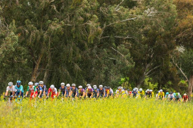 The 61st Presidential Cycling Tour of Turkiye (TUR 2026) has officially begun, starting with its opening stage in the coastal town of Cesme, Izmir. Held under the auspices of the Presidency of the Republic of Türkiye, this prestigious UCI ProSeries race brings together 23 teams and 161 world-class cyclists to compete over eight days, from April 26 to May 3, 2026...The 2026 edition unfolds across routes showcasing some of Türkiye s most striking landscapes. Starting in Cesme, the race follows the Aegean and Mediterranean coastlines, covering stages through Antalya and the southern shores before concluding in the capital, Ankara. Beyond sporting competition, the tour plays a key role in promoting Türkiye s natural and cultural richness on a global stage..This year, the race consists of 8 stages covering approximately 1,200 kilometers. Nearly 20 teams and over 150 riders from around the world are competing, under the coordination of the Turkish Cycling Federation..With the first three stages completed, the pace in the peloton has intensified and the general classification has begun to take shape. Sprint finishes and technically demanding routes have stood out, with the third stage drawing attention for its high tempo and dramatic finale..The third stage of the 61st Presidential Cycling Tour of Türkiye (TUR 2026) was won by Colombian rider Ivan Ramiro Sosa of Equipo Kern Pharma. Covering the 132.7-kilometer Marmaris-Kıran route, Sosa finished in 3 hours, 40 minutes, and 25 seconds. In the summit finish, Australian rider Sebastian Berwick of Caja Rural-Seguros RGA placed second, while French rider Nicolas Breuillard of TotalEnergies finished third..As the race progresses, challenging climbs and critical time gaps are expected to further heighten the excitement. The tour continues to deliver a compelling blend of elite competition and global vis Copyright: RizaxOzel 19081572