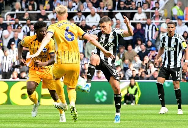 Bruno Guimaraes of Newcastle United and Jan Paul Van Hecke of Brighton & Hove Albion Newcastle United v Brighton and Hove Albion, Premier League, Football, St James Park, Newcastle , UK - 02 May 2026Newcastle St James Park United Kingdom EDITORIAL USE ONLY No use with unauthorised audio, video, data, fixture lists, club league logos or live services. Online in-match use limited to 120 images, no video emulation. No use in betting, games or single club league player publications. Copyright: xMarkxRunnacles Shutterstockx 16854507cc