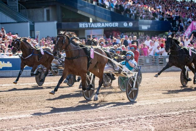 31.05.2026, Allegiant (7) mit Örjan Kihlström gewinnt den Elitloppet 2026 . Trabrennbahn Mariendorf. . (Allegiant, Örjan Kihlström, Elitloppet 2026, Ziel, Zieleinlauf, Einlauf, Sieg) Copyright (c) Marius Schwarz, Fotograf,Mobil: 0049(0)176 28 311 040, Web: www.traberpixx.de, e-mail: info@traberpixx.de,NO MODEL RELEASE - bei Verwendung des Fotos ausserhalb journalistischer Zwecke bitte Ruecksprache halten - Foto ist honorarpflichtig!