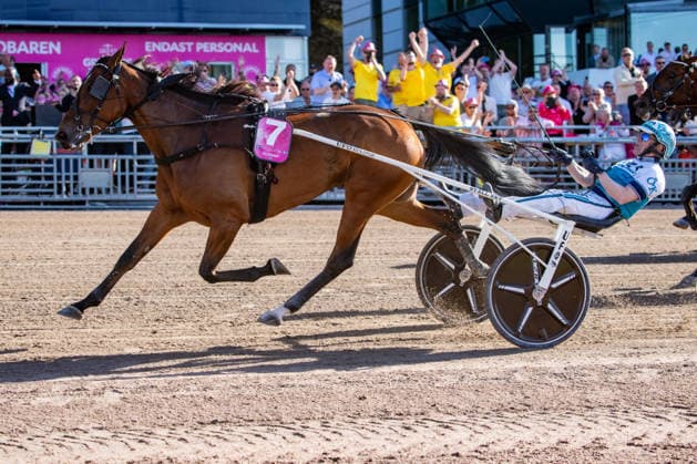 31.05.2026, Allegiant (7) mit Örjan Kihlström gewinnt den Elitloppet 2026 . Trabrennbahn Mariendorf. . (Allegiant, Örjan Kihlström, Elitloppet 2026, Ziel, Zieleinlauf, Einlauf, Sieg) Copyright (c) Marius Schwarz, Fotograf,Mobil: 0049(0)176 28 311 040, Web: www.traberpixx.de, e-mail: info@traberpixx.de,NO MODEL RELEASE - bei Verwendung des Fotos ausserhalb journalistischer Zwecke bitte Ruecksprache halten - Foto ist honorarpflichtig!