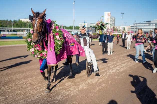 31.05.2026, Siegerehrung: Allegiant (7) mit Örjan Kihlström gewinnt den Elitloppet 2026 . Trabrennbahn Mariendorf. . (Allegiant, Örjan Kihlström, Elitloppet 2026, Sieg, Sieger, Siegerehrung) Copyright (c) Marius Schwarz, Fotograf,Mobil: 0049(0)176 28 311 040, Web: www.traberpixx.de, e-mail: info@traberpixx.de,NO MODEL RELEASE - bei Verwendung des Fotos ausserhalb journalistischer Zwecke bitte Ruecksprache halten - Foto ist honorarpflichtig!