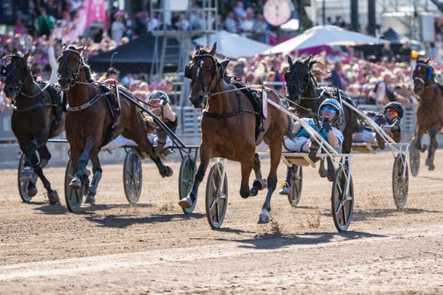 31.05.2026, Allegiant (7) mit Örjan Kihlström gewinnt den Elitloppet 2026 . Trabrennbahn Mariendorf. . (Allegiant, Örjan Kihlström, Elitloppet 2026, Ziel, Zieleinlauf, Einlauf, Sieg) Copyright (c) Marius Schwarz, Fotograf,Mobil: 0049(0)176 28 311 040, Web: www.traberpixx.de, e-mail: info@traberpixx.de,NO MODEL RELEASE - bei Verwendung des Fotos ausserhalb journalistischer Zwecke bitte Ruecksprache halten - Foto ist honorarpflichtig!
