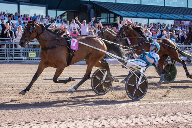 31.05.2026, Allegiant (7) mit Örjan Kihlström gewinnt den Elitloppet 2026 . Trabrennbahn Mariendorf. . (Allegiant, Örjan Kihlström, Elitloppet 2026, Ziel, Zieleinlauf, Einlauf, Sieg) Copyright (c) Marius Schwarz, Fotograf,Mobil: 0049(0)176 28 311 040, Web: www.traberpixx.de, e-mail: info@traberpixx.de,NO MODEL RELEASE - bei Verwendung des Fotos ausserhalb journalistischer Zwecke bitte Ruecksprache halten - Foto ist honorarpflichtig!