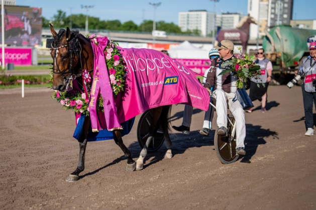 31.05.2026, Siegerehrung: Allegiant (7) mit Örjan Kihlström gewinnt den Elitloppet 2026 . Trabrennbahn Mariendorf. . (Allegiant, Örjan Kihlström, Elitloppet 2026, Sieg, Sieger, Siegerehrung) Copyright (c) Marius Schwarz, Fotograf,Mobil: 0049(0)176 28 311 040, Web: www.traberpixx.de, e-mail: info@traberpixx.de,NO MODEL RELEASE - bei Verwendung des Fotos ausserhalb journalistischer Zwecke bitte Ruecksprache halten - Foto ist honorarpflichtig!