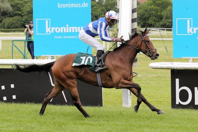 04.06.2026, Iffezheim, Baden-Wuerttemberg, GER - Sayidah Toronado mit Eduardo Pedroza gewinnt. Galopprennbahn Baden-Baden, Iffezheim. (Pferd, Jockey, Sayidah Toronado, Pedroza, Sieg, Ziel, Zielankunft) 260604B981IFFEZHEIM.JPG