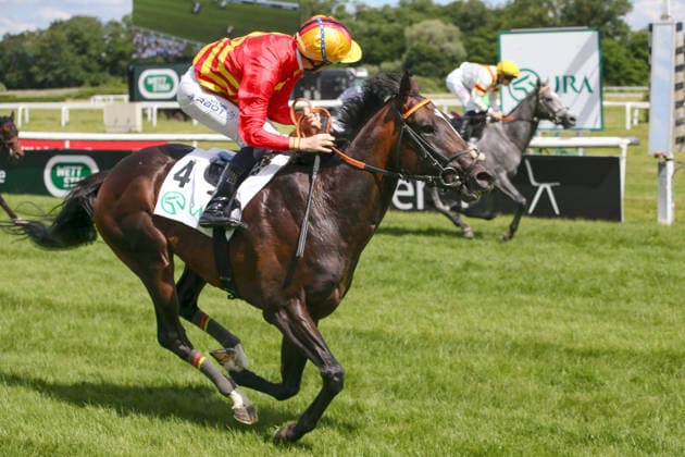 06.06.2026, Iffezheim, Baden-Wuerttemberg, GER - Seguro mit Benjamin Marie gewinnt das Japan Racing Association Derby-Trial. Galopprennbahn Baden-Baden, Iffezheim. (Pferd, Jockey, Seguro, Marie, Sieg, Ziel, Zielankunft) 260606B990IFFEZHEIM.JPG