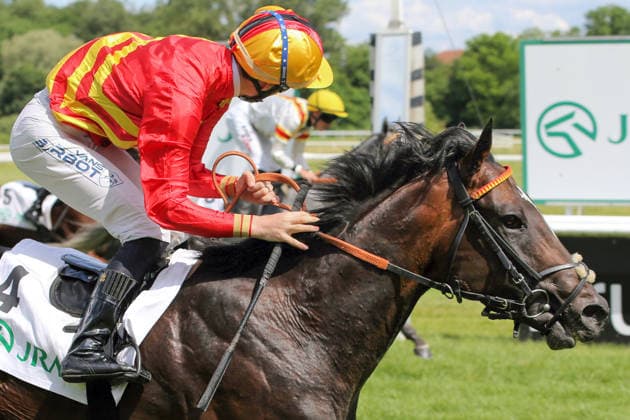 06.06.2026, Iffezheim, Baden-Wuerttemberg, GER - Seguro mit Benjamin Marie gewinnt das Japan Racing Association Derby-Trial. Galopprennbahn Baden-Baden, Iffezheim. (Pferd, Jockey, Seguro, Marie, Sieg, Ziel, Zielankunft) 260606B991IFFEZHEIM.JPG