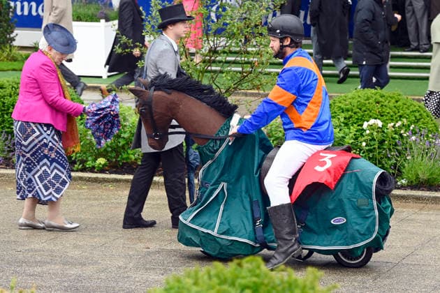 06.06.2026, Epsom, Surrey, GBR - A man dressed as a jockey sits on a bicycle that looks like a horse. Epsom Downs racecourse. (Pferd, Jockey, Mann, Zuschauer, Besucher, Publikum, verkleidet, Verkleidung, Fahrrad, lustig, witzig, Witz, Humor) 260606C705EPSOM.JPG