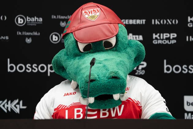 Fritzle vom VfB Stuttgart im Interview, Pierre-Hugues Herbert vs. Martin Landaluce, Tennis, ATP, Tennis Herren Turnier, Boss-Open, Center-Court, Sechzehntelfinale, 08.06.2026, Pierre-Hugues Herbert vs. Martin Landaluce, Tennis, ATP-Turnier, Boss-Open, Center-Court, Sechzehntelfinale, 08.06.2026, Stuttgart