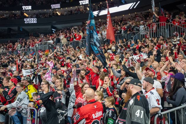 Die Koelner Fans bejubeln das Tor zum 1:0 durch Marco Noebels (Koelner Haie, 92). Koelner Haie vs. EHC Red Bull Muenchen, Eishockey, Penny DEL, 05. Spieltag, Saison 2026 2027, 02.10.2026 Koelner Haie vs. EHC Red Bull Muenchen, Eishockey, Penny DEL, 05. Spieltag, Saison 2026 2027, 02.10.2026 Koeln Copyright: xEibner-Pressefoto ThomasxHaeslerx EP_THR