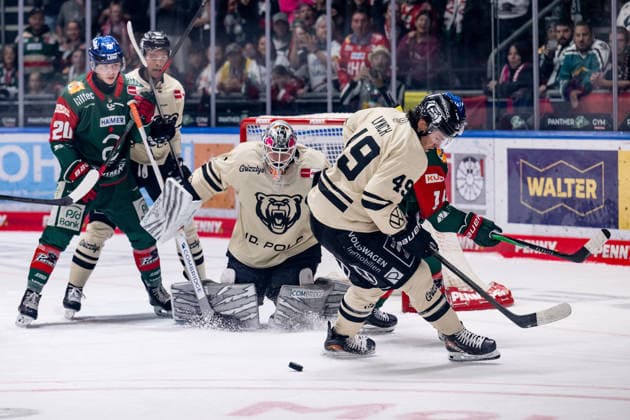 Bobby Lynch (Grizzlys Wolfsburg, 49) verteidigt gegen Donald D.J. Busdeker (Augsburger Panther, 14) vor dem Tor von Dustin Strahlmeier (Torwart, Grizzlys Wolfsburg, 01) GER, Augsburger Panther vs. Grizzlys Wolfsburg, Eishockey, DEL, Saison 2026 2027, 4. Spieltag, 02.10.2026. Foto: HMB Media Heike Feiner Copyright: HMBxMedia HeikexFeiner