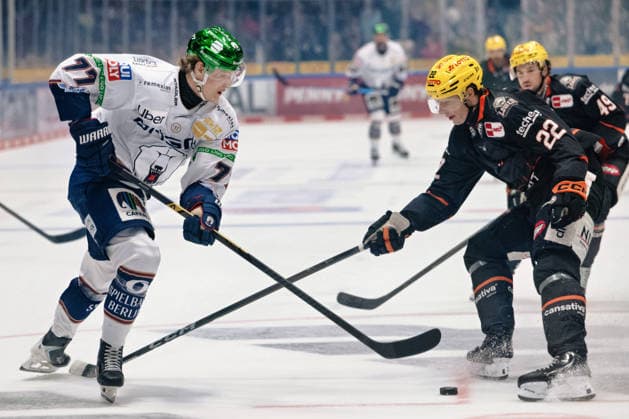 Eric Hoerdler (Eisbaeren Berlin, 77), Timo Kose (Loewen Frankfurt, 22) GER, Loewen Frankfurt vs. Eisbaeren Berlin, Eishockey, PENNY DEL, 5. Spieltag, Spielzeit 2026 2027, 02.10.2026 GER, Loewen Frankfurt vs. Eisbaeren Berlin, Eishockey, PENNY DEL, 5. Spieltag, Spielzeit 2026 2027, 02.10.2026 Frankfurt am Main Copyright: xEibner-Pressefoto AttilaxZigax EP_AZA