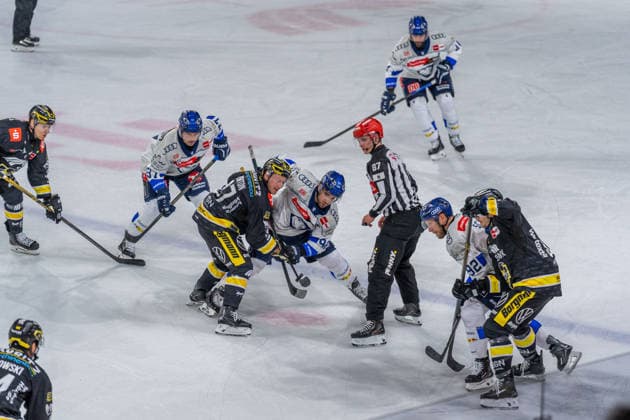 Bully zwischen Krefeld und Ingolstadt, GER, Krefeld Pinguine vs. ERC Ingolstadt, Eishockey, PENNY DEL, 5. Spieltag, Spielzeit 2026 2027, 02.10.2026 GER, Krefeld Pinguine vs. ERC Ingolstadt, Eishockey, PENNY DEL, 5. Spieltag, Spielzeit 2026 2027, 02.10.2026 Krefeld Copyright: xEibner-Pressefoto FabianxFriesex EP_FFE
