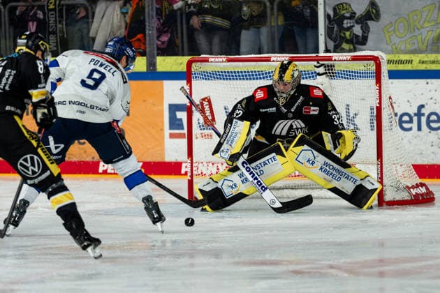 Myles Powell (ERC Ingolstadt, 09) fordert Juha Jatkola (Krefeld Pinguine, 32), GER, Krefeld Pinguine vs. ERC Ingolstadt, Eishockey, PENNY DEL, 5. Spieltag, Spielzeit 2026 2027, 02.10.2026 GER, Krefeld Pinguine vs. ERC Ingolstadt, Eishockey, PENNY DEL, 5. Spieltag, Spielzeit 2026 2027, 02.10.2026 Krefeld Copyright: xEibner-Pressefoto FabianxFriesex EP_FFE