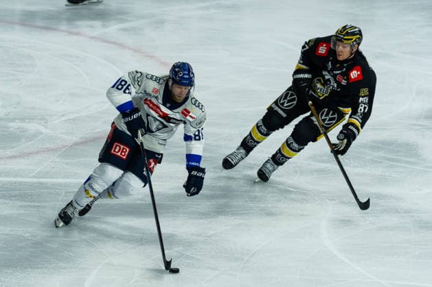 Daniel Pietta (ERC Ingolstadt, 86) gegen Philip Gogulla (Krefeld Pinguine, 87), GER, Krefeld Pinguine vs. ERC Ingolstadt, Eishockey, PENNY DEL, 5. Spieltag, Spielzeit 2026 2027, 02.10.2026 GER, Krefeld Pinguine vs. ERC Ingolstadt, Eishockey, PENNY DEL, 5. Spieltag, Spielzeit 2026 2027, 02.10.2026 Krefeld Copyright: xEibner-Pressefoto FabianxFriesex EP_FFE