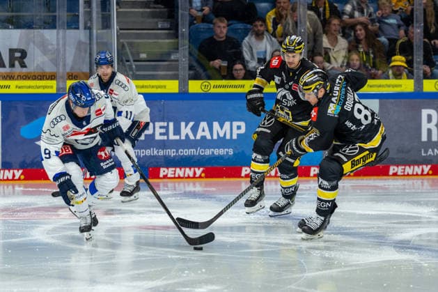 Zweikampf Myles Powell (ERC Ingolstadt, 09) und Philip Gogulla (Krefeld Pinguine, 87), GER, Krefeld Pinguine vs. ERC Ingolstadt, Eishockey, PENNY DEL, 5. Spieltag, Spielzeit 2026 2027, 02.10.2026 GER, Krefeld Pinguine vs. ERC Ingolstadt, Eishockey, PENNY DEL, 5. Spieltag, Spielzeit 2026 2027, 02.10.2026 Krefeld Copyright: xEibner-Pressefoto FabianxFriesex EP_FFE