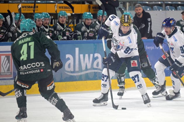 Matt White (EC Kassel Huskies, 97) am Puck Bietigheim Steelers vs. EC Kassel Huskies, Eishockey, DEL 2, 06.Hauptrundenspiel, Saison 2026 2027, 04.10.2026 Bietigheim Steelers vs. EC Kassel Huskies, Eishockey, DEL 2, 06.Hauptrundenspiel, Saison 2026 2027, 04.10.2026 Bietigheim Copyright: xEibner-Pressefotox EP_TBR