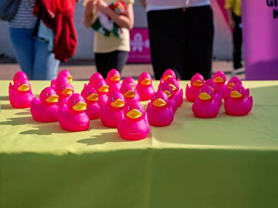 Motto Pinktober Gemeinsam gegen Brustkrebs, Pinke Entchen GER, Fussball, VfB Stuttgart vs. 1. FC Union Berlin, Google Pixel Frauen-Bundesliga, 6 Spieltag, Stuttgart, Saison 2026 2027, 04.10.2026 GER, Fussball, VfB Stuttgart vs. 1. FC Union Berlin, Google Pixel Frauen-Bundesliga, 6. Spieltag, Stuttgart, Saison 2026 2027, 04.10.2026 Stuttgart Copyright: xCarstenxSchweringx EP_CSG