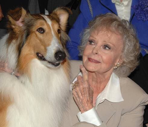 Schauspielerin June Lockhart mit Hund Lassie anlässlich der Vorstellung einer Briefmarkenserie - Early TV Memories - in North Hollywood - (ZUMAd79)