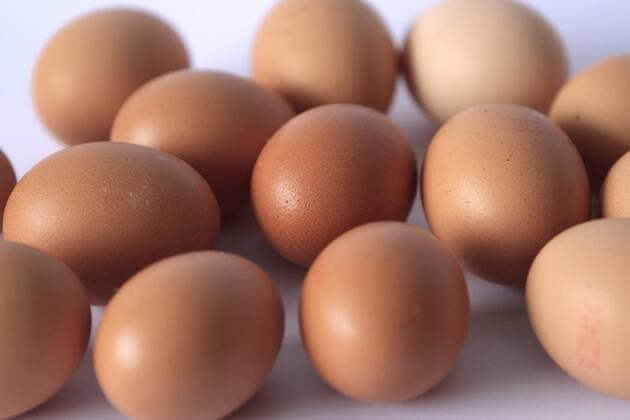 egg, eggs (CTKxPhoto JakubxSyrucek) CTKPhoto545201203120325101