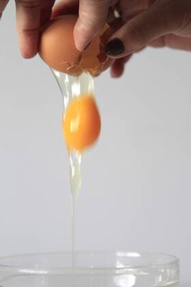 egg, eggs (CTKxPhoto JakubxSyrucek) CTKPhoto551201203120326201