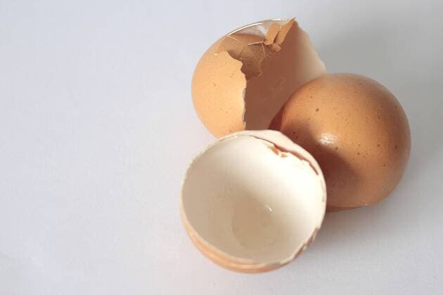 egg, eggs (CTKxPhoto JakubxSyrucek) CTKPhoto559201203120332101